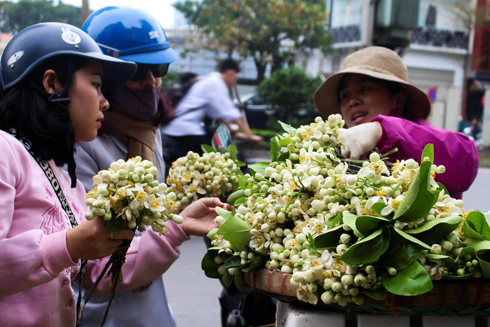 Nao lòng những gánh hoa bưởi mang hồn quê ra Hà Nội